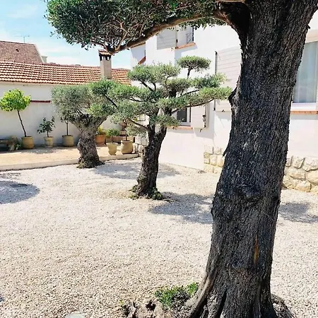 Et A 50 M Piscine Proche Centre Vila